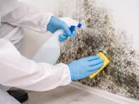 Schimmelbehandlung und Feuchtigkeitsschutz in Berlin